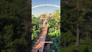 Dubai Safari Park dubai youtubeshorts [upl. by Niarfe]