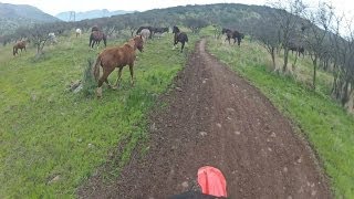 Enduro Chile Batuco  Circuito Lampa Fundo el Cerro 1080HD [upl. by Joanie629]