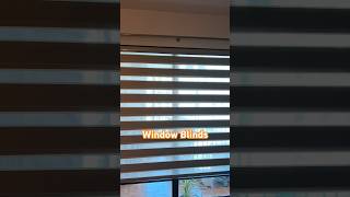 Window Blinds Shop in Gurugram Curtain Blinds Shop Online curtain Blinds windowblinds curtains [upl. by Adnouqal]