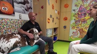 Trooper the therapy dog visiting Carilion patients [upl. by Naawaj]