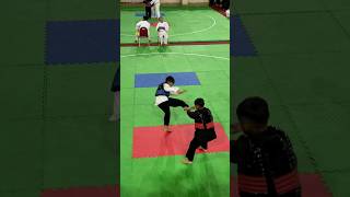 Fight 1 pencak silat shorts [upl. by Esor]