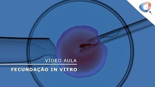 Fertilização In Vitro FIV [upl. by Nayd]