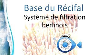 La méthode Berlinoise de filtration pour aquarium marins  Mr Recif Captif 268 [upl. by Nitsoj810]