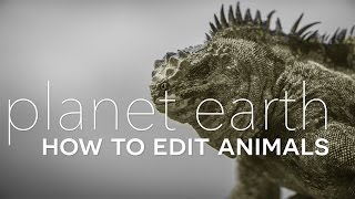 Planet Earth II How to Edit Animals [upl. by Ridglee]