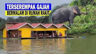 Terserempak Gajah ketika bermalam di rumah rakit Tasik Kenyir Terengganu [upl. by Manon]