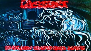 DISSECT  Swallow Swouming Mass Fulllength Album 1993 [upl. by Riatsila]