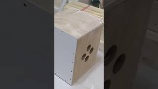 diy cajon drumsbeatbox diywoodworking shorts [upl. by Folberth]