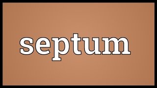 Septum Meaning [upl. by Nyram1]