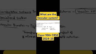 What is the vascular system in plants Class10th CBSE Biology Ch1 Life Processes biology viral [upl. by Unam]