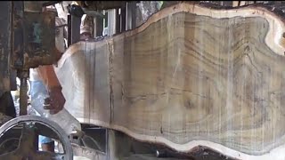 sawmill kayu akasia [upl. by Nomed]