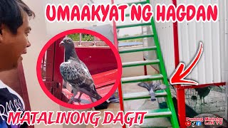 EP641  ANG TINDE NG BAGUNG DAGIT MAY TALENT [upl. by Viviene]