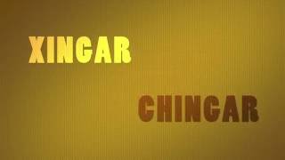 Xingar ou chingar Qual é a forma correta [upl. by Chrystal]