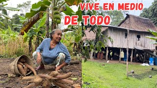 Viven en MEDIO DE LA SELVA en su casita de MADERA y son MUY FELICES 🛖🌳Josué y Elie [upl. by Neesay969]