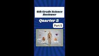 Part 5 Quick Review  6th Grade Science Review Quarter 2  5 Questions with Answers [upl. by Hgielram]