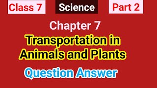 Class 7  Science  Part 2  Transportation in Animals and Plants QuestionandAnswer [upl. by Mora744]