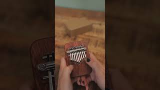 9 Note Gansu Thumb Piano Kalimba Sound Demo [upl. by Atteynad]