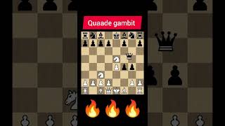 Quaade gambit chess youtubeshorts chesstalkbangla [upl. by Udell]