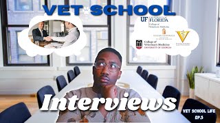 Helpful TIPS to PREPARE you before your Vet School Interview in 2022 VSL5 [upl. by Griffiths804]