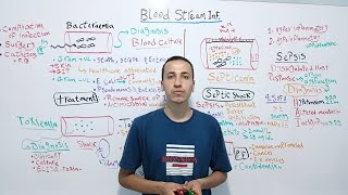 Blood Stream Infections  Sepsis amp Septic Shock Bacteriemia Toxic Shock  Dr Mohamed El Kot [upl. by Svetlana]