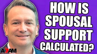 How Is Spousal Support Calculated [upl. by Lairret]