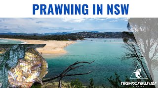 Prawning in NSW is very different from QLD [upl. by Seravat524]