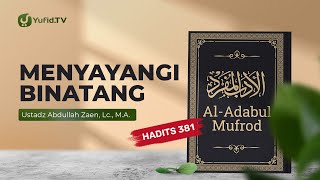 Kajian Hadits Menyayangi Binatang Hadits 381  Ustadz Abdullah Zaen Lc MA [upl. by Ehud]