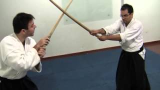 Ogawa Ryu  IBS  ASB  Kenjutsu 2015  Free attacks  剣術 [upl. by Mccurdy]