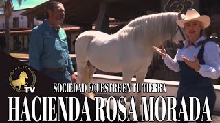 HACIENDA ROSA MORADA POR SOCIEDAD ECUESTRE EN TU TIERRA CON ESTEFANÍA ZÚÑIGA [upl. by Esdras]