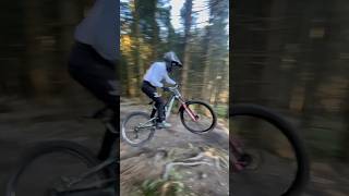 Hidden Tech 🍁🔥 Racepark Schulenberg  Til Holzhauer  Santa Cruz V10 [upl. by Rosenblatt172]