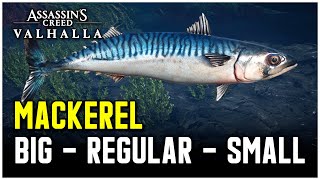 Assassins Creed Valhalla  Mackerel Fish Locations Big  Regular  Small [upl. by Akcemat]