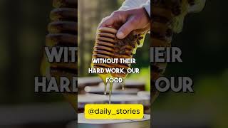 Bees are the only insects that produce food eaten by humans animals subscribe shorts facts [upl. by Pren]