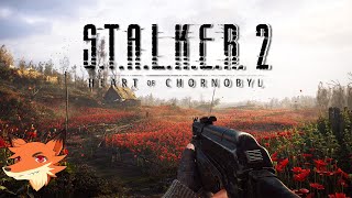 STALKER 2  LIVE  Ca y est On part explorer la zone dexclusion de Chronobyl [upl. by Castara]