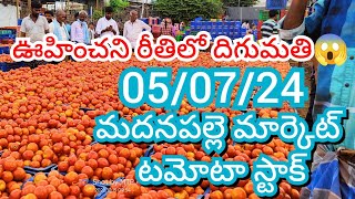 050724 Madanapalle Tomato Market price Today  Today Tomato Market Rate in Madanapalle today [upl. by Maram]