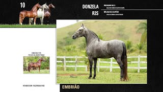 10 Donzela R2S Embrião [upl. by Darcie624]