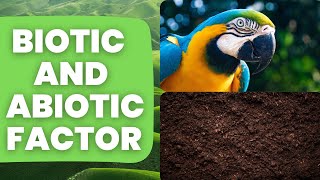 Ecosystems  What are Biotic amp Abiotic Factors [upl. by Leia601]