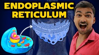 Complete Endoplasmic Reticulum Only In 6 Minutes  In Hindi [upl. by Leidgam873]