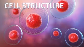 Cell structure  AS Bio  quiz 2 [upl. by Elkcim]