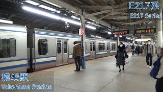 JR East E217 Series at Yokohama [upl. by Ateuqram]