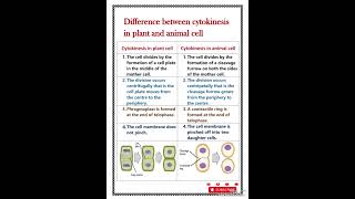 Difference between cytokinesis in plant and animal cell [upl. by Neehar]