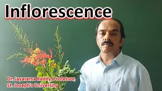 Inflorescence Types Plant Taxonomy Dr Jayarama Reddy St Josephs University Bengaluru India [upl. by Eidnak780]