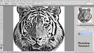 Trasformare la foto in stampa serigrafica con Photoshop [upl. by Nilved]