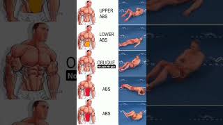 home core workout  abdominal exercises at home  sports viral [upl. by Norbel]