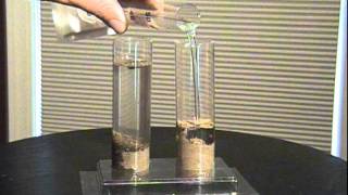 Activity 4  Soil Columns [upl. by Maharba]