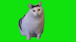 Cat Saying Huh Meme Green Screen Template [upl. by Onyx]