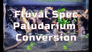 Step by step conversion of a Fluval Spec V aquarium into a paludarium [upl. by Ainegue]