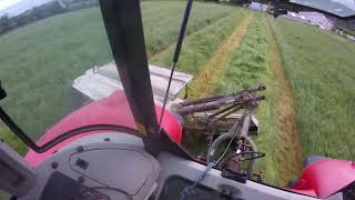 Mowing Silage  Massey 6465 [upl. by Fagin]