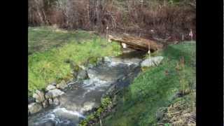 Fish Trap Creek Salmon Ladder [upl. by Bonnee186]