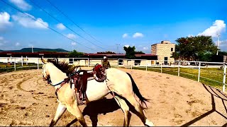 COMO MONTAR A CABALLO MartinLoza RanchoJR parientesdelrancho [upl. by Irovi609]