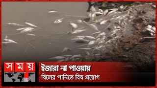 এ কেমন শত্রুতা  Sunamganj News  Somoy TV [upl. by Schofield]