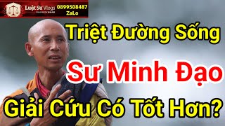 🔴 Sư Thích Minh Đạo Đã Buông Tay Rồi Sao  Luật Sư Vlogs [upl. by Ev605]